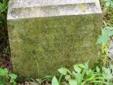 image of grave number 949996